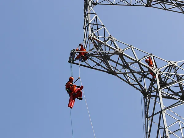 Entretien de Réseaux Électriques