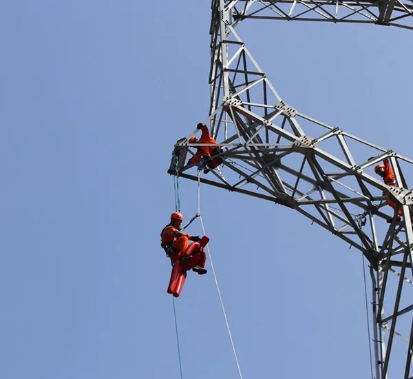 Entretien de Réseaux Électriques